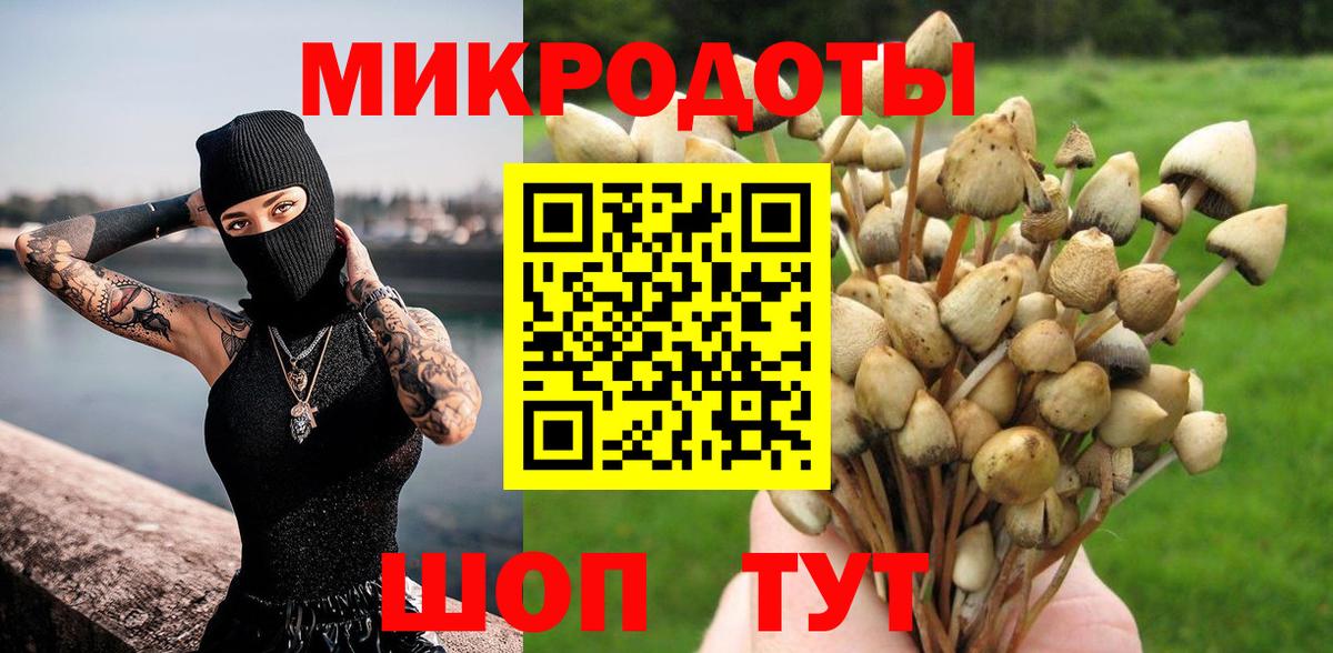 Галлюциногенные грибы мицелий Таганрог