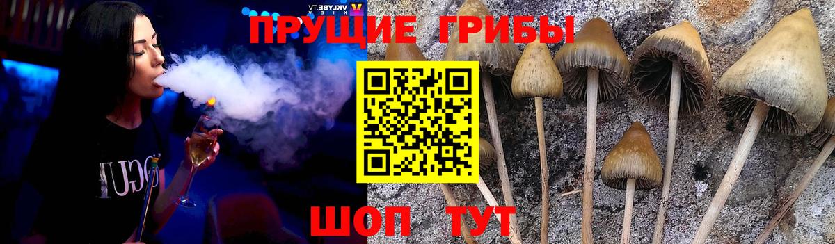 НБОМе  ГАШ  Таганрог  МЕФ   ГЕРОИН  Вход с VPN  Канабис  ЭКСТАЗИ  КОКАИН 